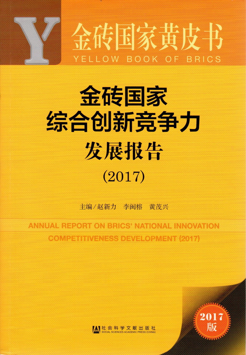 三级视频大鸡吧抽插小穴视频金砖国家综合创新竞争力发展报告（2017）